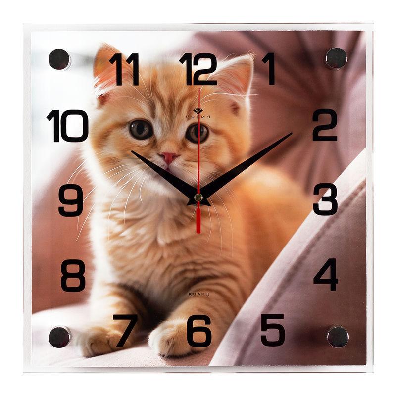 Часы настенные квадрат 25х25см Рыжий котенок /Рубин (10шт) - 2525-056